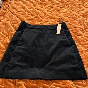 J.Crew Velvet Skirt